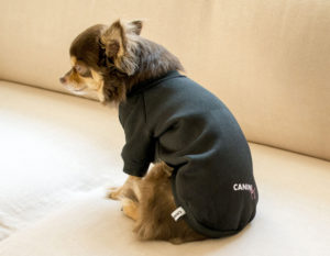 【1000円以下】小型犬用オリジナルトレーナーの作り方 ─ カッティングマシンで簡単DIY