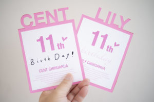 【完全ガイド】手作りポストカードの作り方|カッティングマシンで世界に一つだけの贈り物を