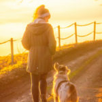 犬と人の絆はどこから？歴史と文化背景から読み解く“犬とのより深い関係”