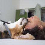 犬の気持ちがわかる！カーミングシグナルとボディランゲージで感情を読み解く【完全ガイド】