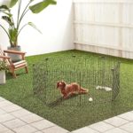 【2025年】チワワ(小型犬)におすすめの人気サークル／サークルの効果、メリットやデメリットも解説