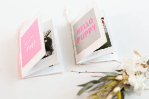 【完全ガイド】ZINE（ジン）の作り方｜A4用紙で作る8ページの手作りフォトブック