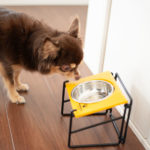 【100均セリア】犬のフードボウルスタンドはお皿のサイズに注意！高さは２段階