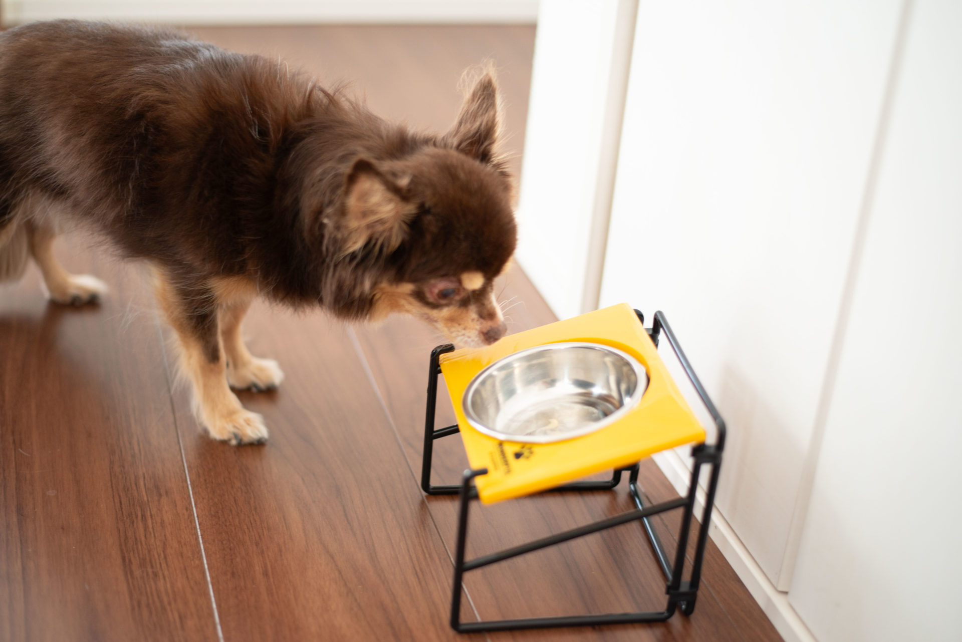 【100均セリア】犬のフードボウルスタンドはお皿のサイズに注意！高さは２段階