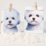 A4一枚で作れるマチ付き紙袋（ビション・フリーゼ無料テンプレート付き）