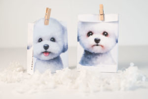 A4一枚で作れるマチ付き紙袋（ビション・フリーゼ無料テンプレート付き）