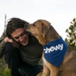 犬がぺろぺろ舐めてくる理由とその意味：科学的根拠と飼い主の体験から探る